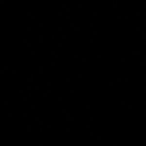 Meet your Posher, Lilly